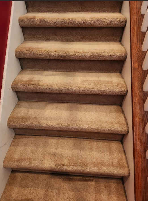 Carpeted stairs with even appearance after cleaning.