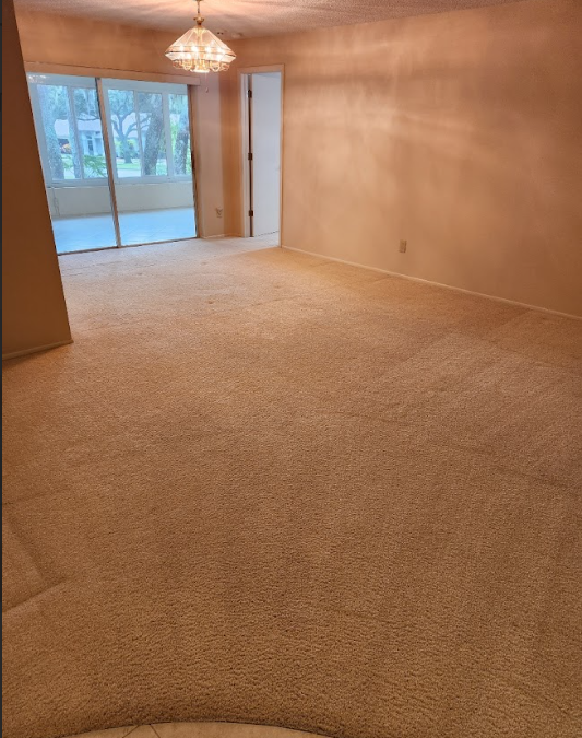 Fabric Protector 101: Why Your Carpet and Upholstery Need It