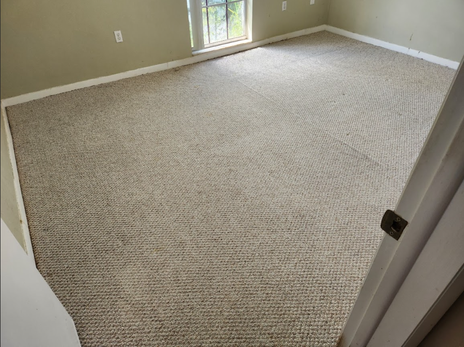 Carpeted floor after professional steam cleaning.