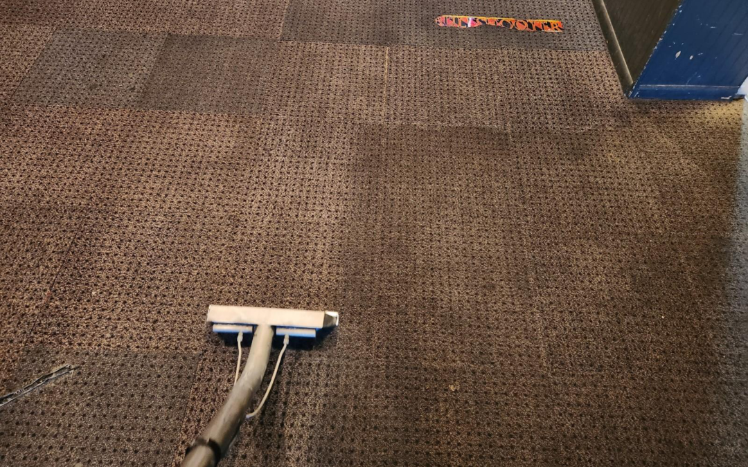 The Hidden Dirt Your Vacuum Never Touches