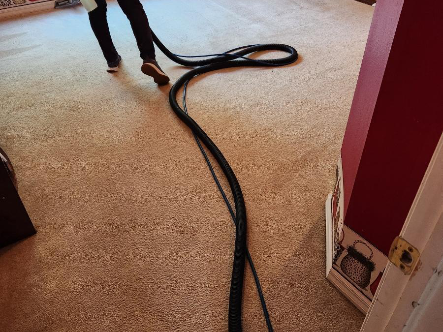 How Steam Cleaning Dries Quickly Without Damage