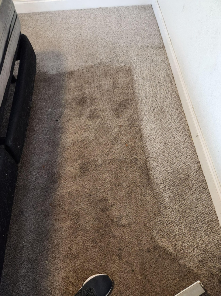 Carpet with a visible clean strip showing contrast between deep soil buildup and freshly steam cleaned area.