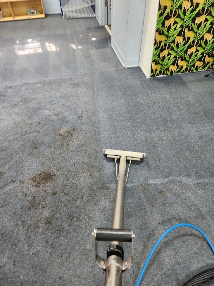 Carpet steam cleaning wand removing deep dirt from heavily soiled carpet in a commercial space.
