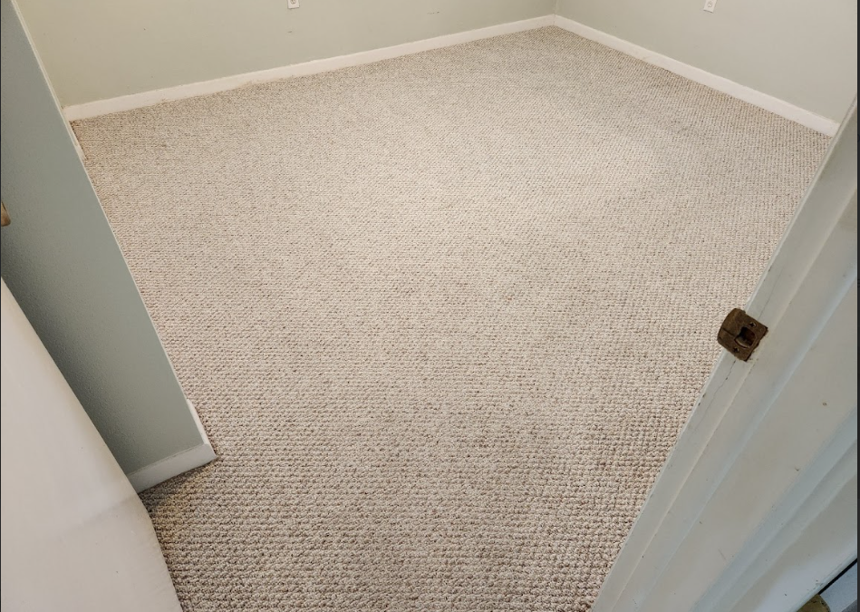 Signs Your Clearwater Home Needs Professional Carpet Steam Cleaning