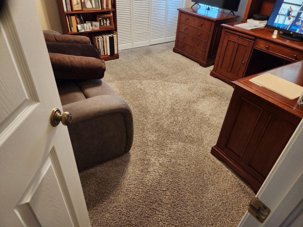 a room captured through a door with furniture and a carpeted floor