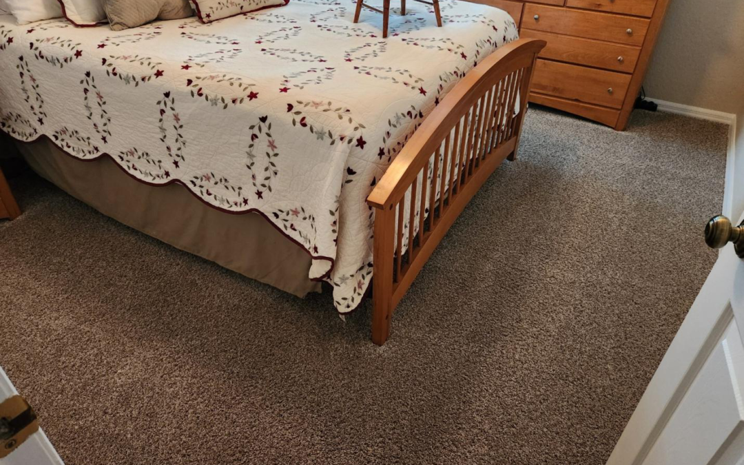 The Secret to Fresh Carpets: Inside Our Steam Cleaning Process