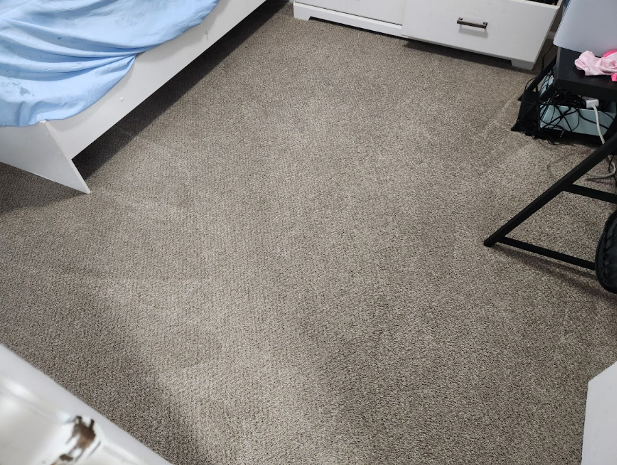 Carpet steam cleaning in Largo, FL