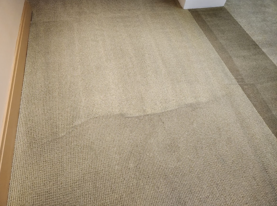 The Importance of Odor Treatment in Carpet and Upholstery Cleaning