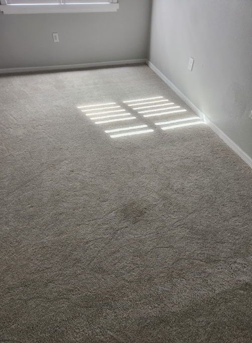 Carpet cleaning services needed in a Florida house.