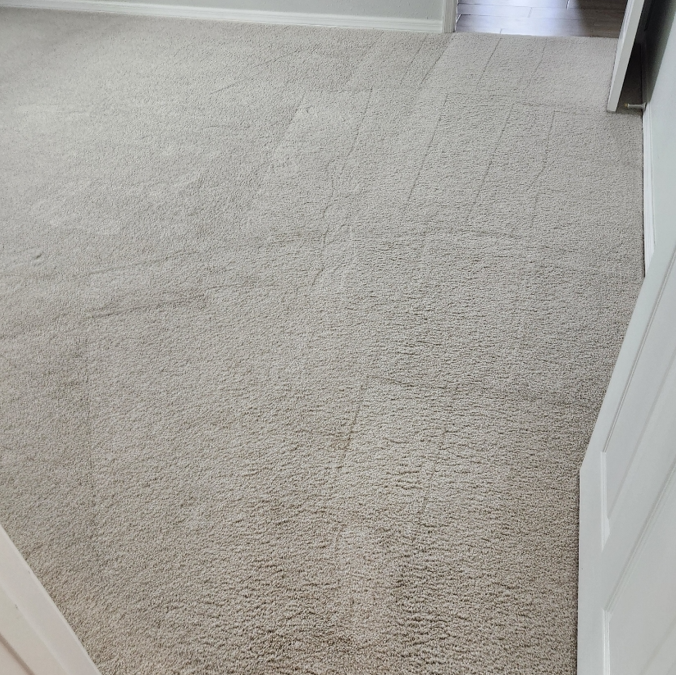 Revive Your Floors: The Power of Professional Carpet Cleaning in Clearwater