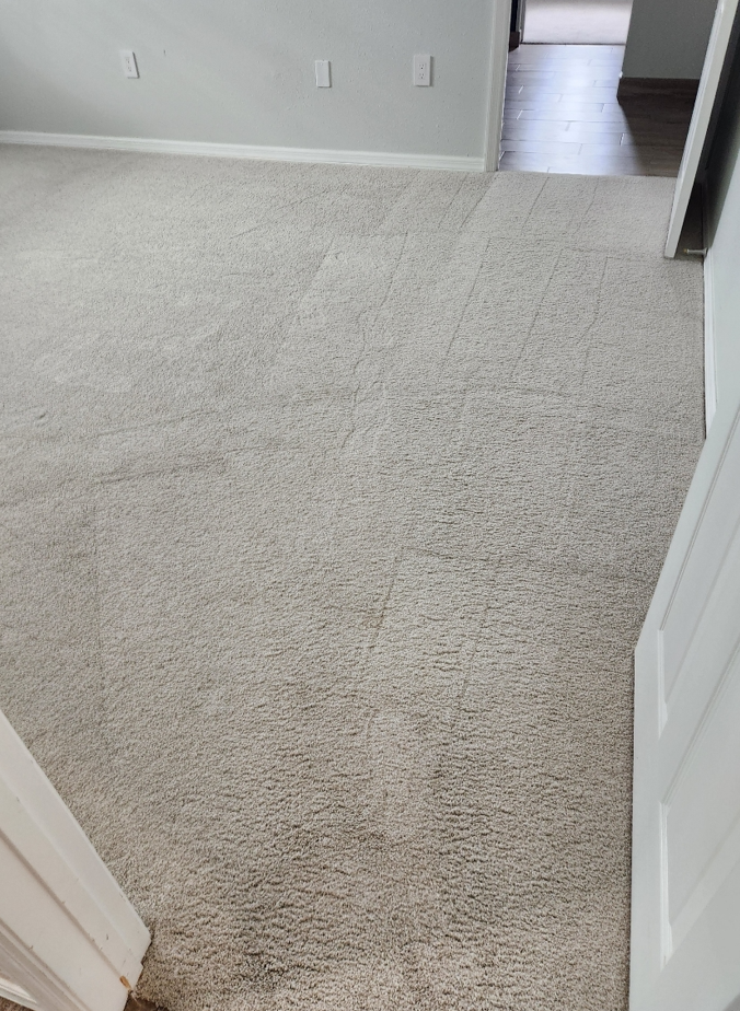 Light-colored wall-to-wall carpet with visible cleaning lines after professional service