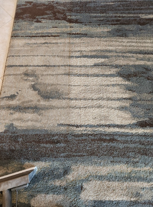 Professional rug cleaning in process.