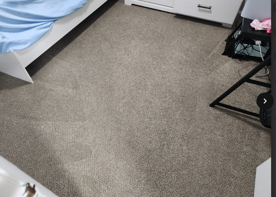 Bedroom carpet with visible spot stains requiring professional treatment