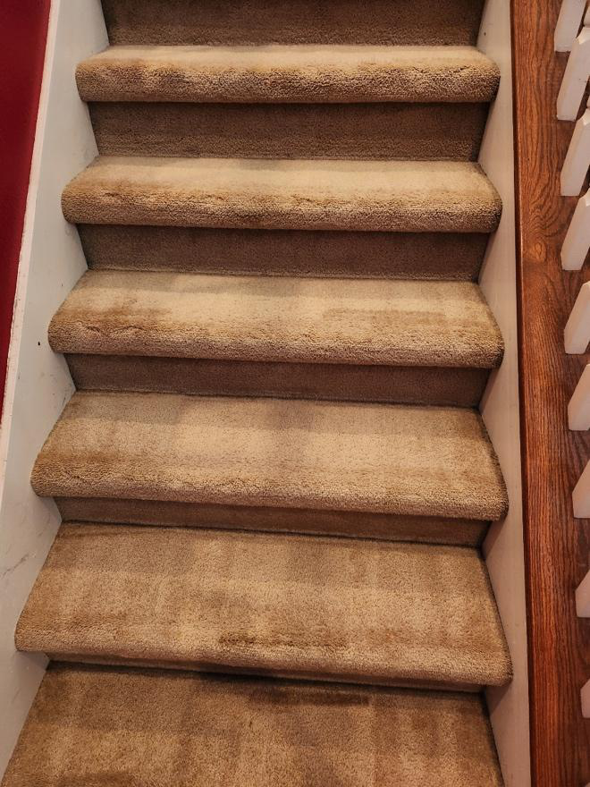 This photo shows neat and clean carpeted stairs inside a home.