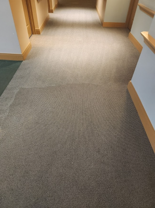 Clean commercial office hallway carpet showing uniform texture after professional cleaning