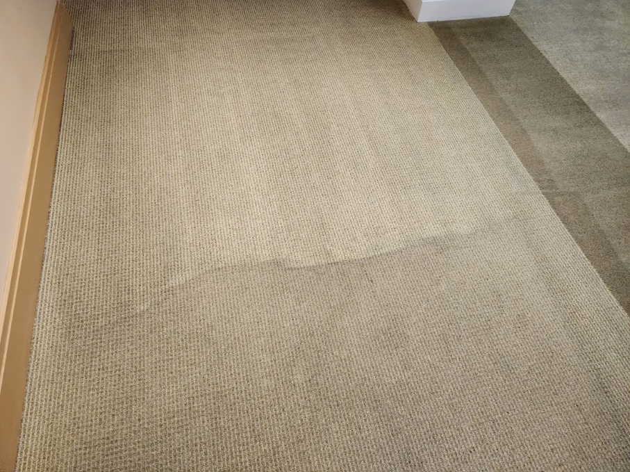 Office carpet with visible traffic wear patterns indicating the need for professional cleaning
