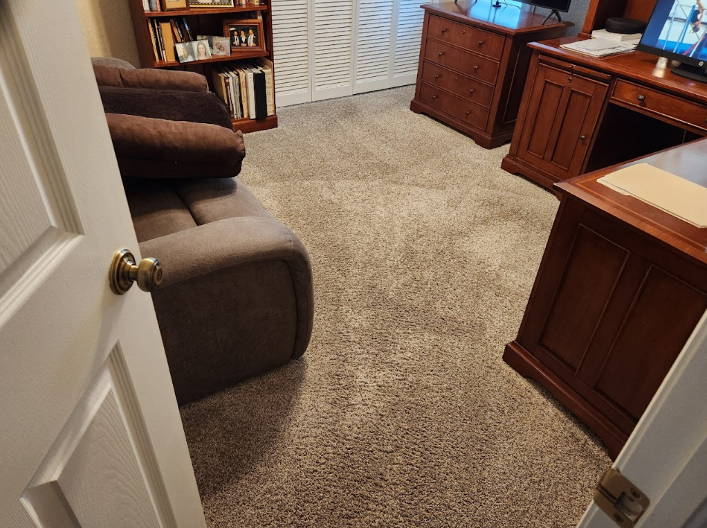 Living room carpet showing uneven discoloration and stains before cleaning