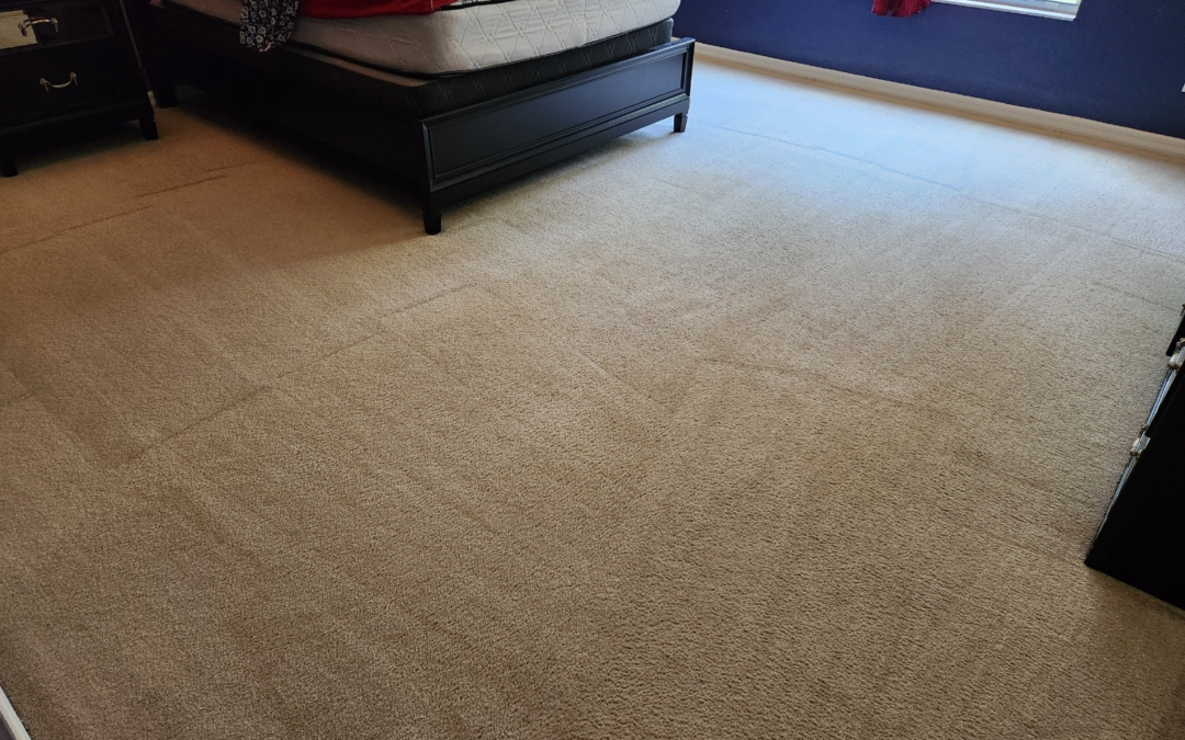 Carpet Cleaning for Busy Homes: Fast Solutions That Actually Work