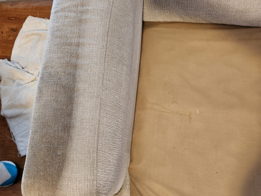 Why Florida Families Are Investing in Deep Sofa Cleaning Services