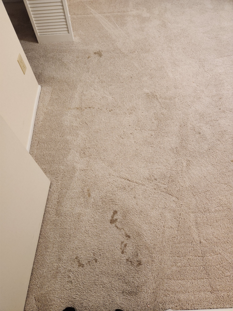 close-up of stains on a carpet 