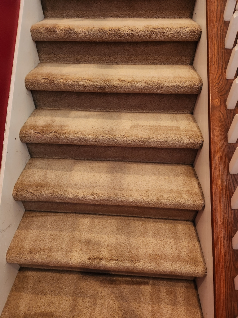 carpeted stairs inside a house