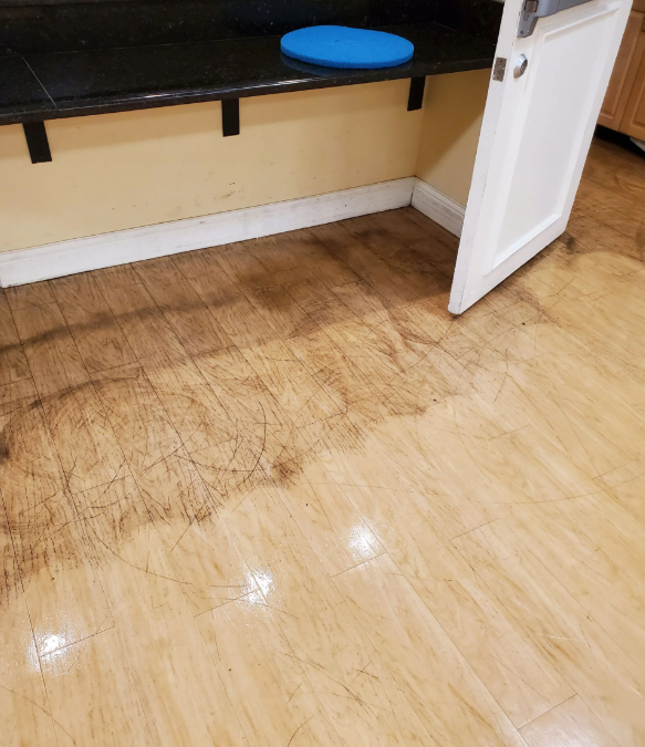 Luxury Vinyl Floors Looking Dull? Here’s What Professional Cleaning Can Do