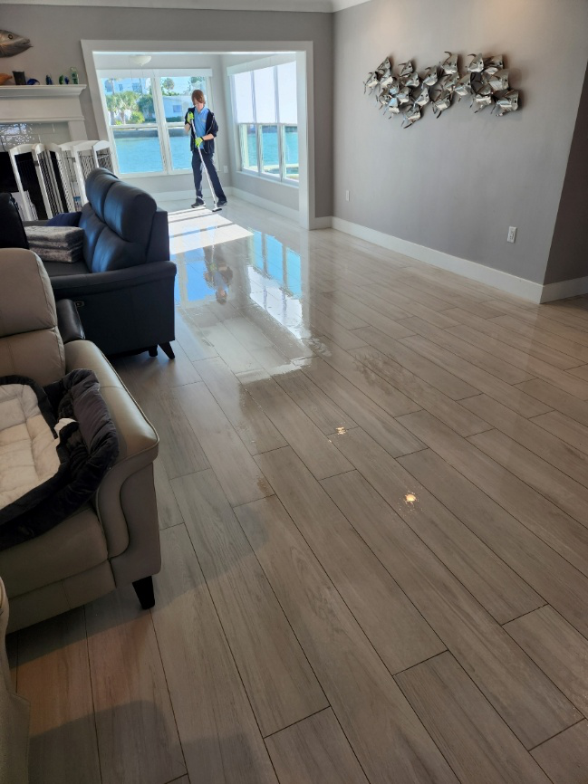 professional floor cleaning services for a bright living room