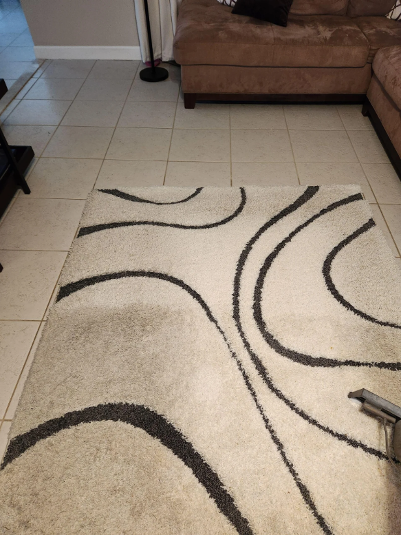 professional rug cleaning for a home area rug