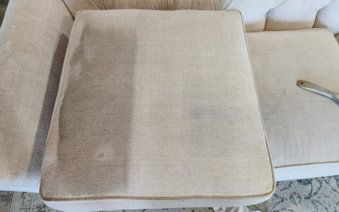 Sofa Cleaning for Pet Owners: Removing Odors, Fur, and Hidden Allergens