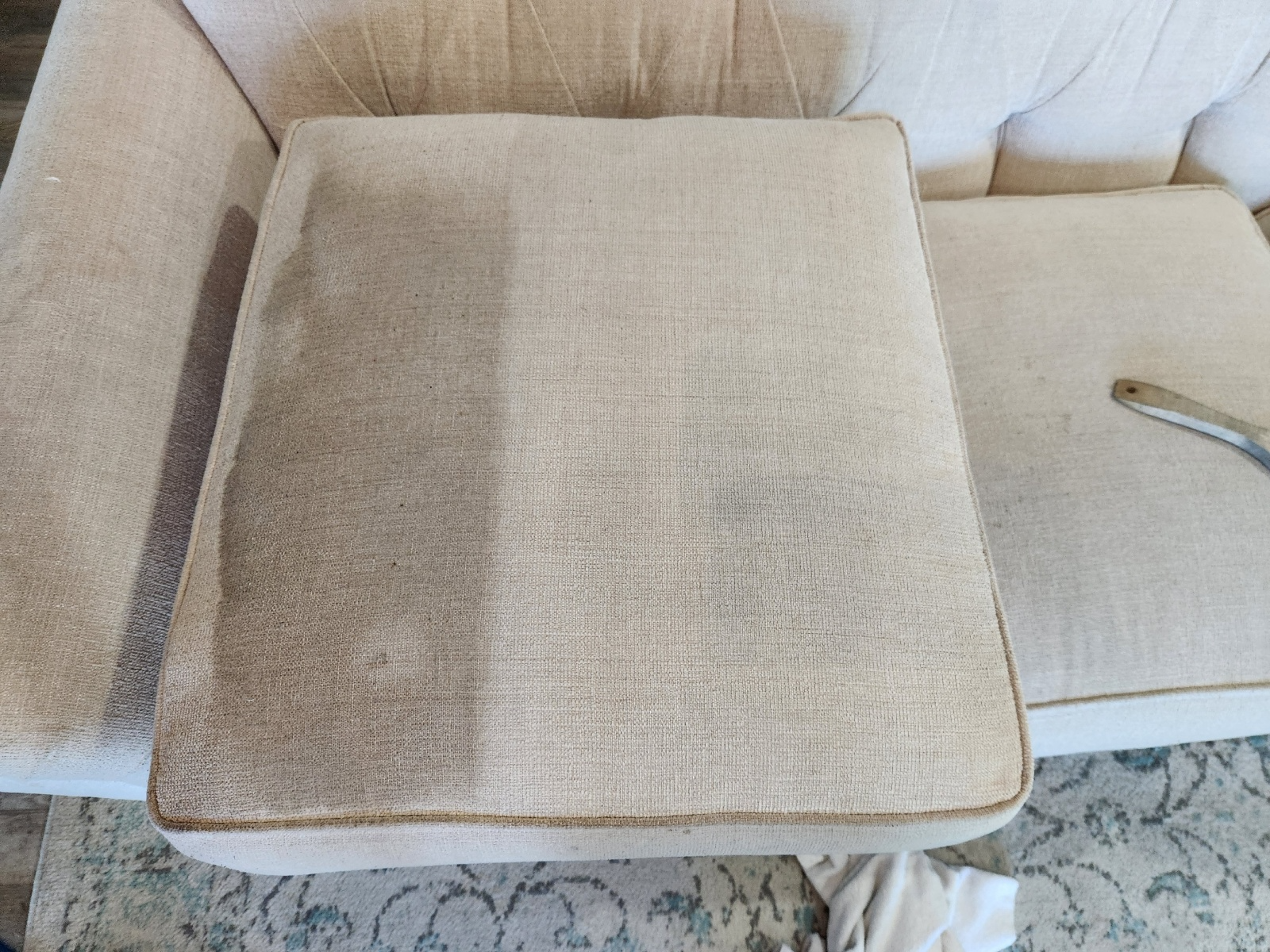 close-up of sofa cushion stains being cleaned
