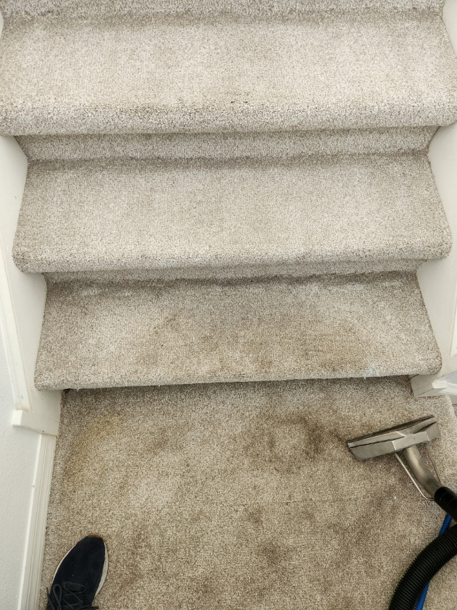deep carpet cleaning services for carpeted stairs