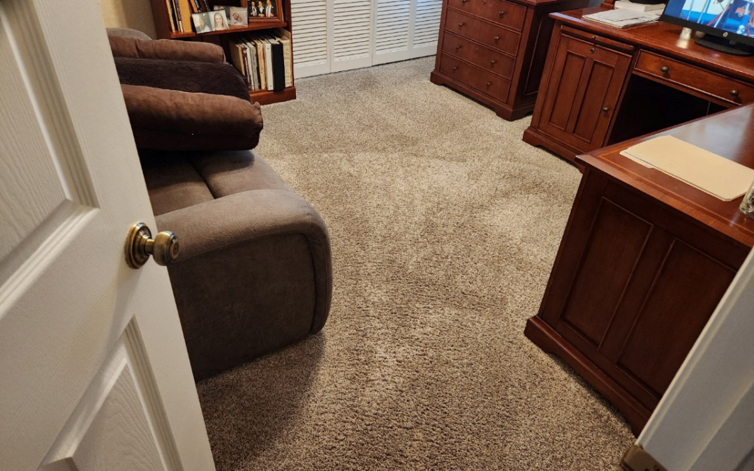How Homeowners Are Extending Carpet Life With One Smart Service