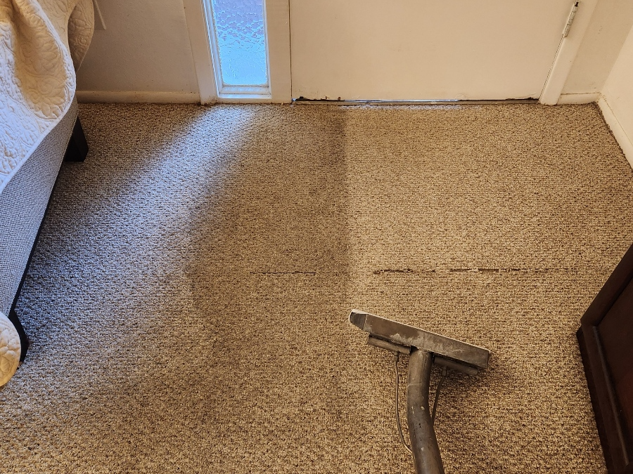 Carpet Cleaning Frequency Guide: How Often Is Actually Enough?