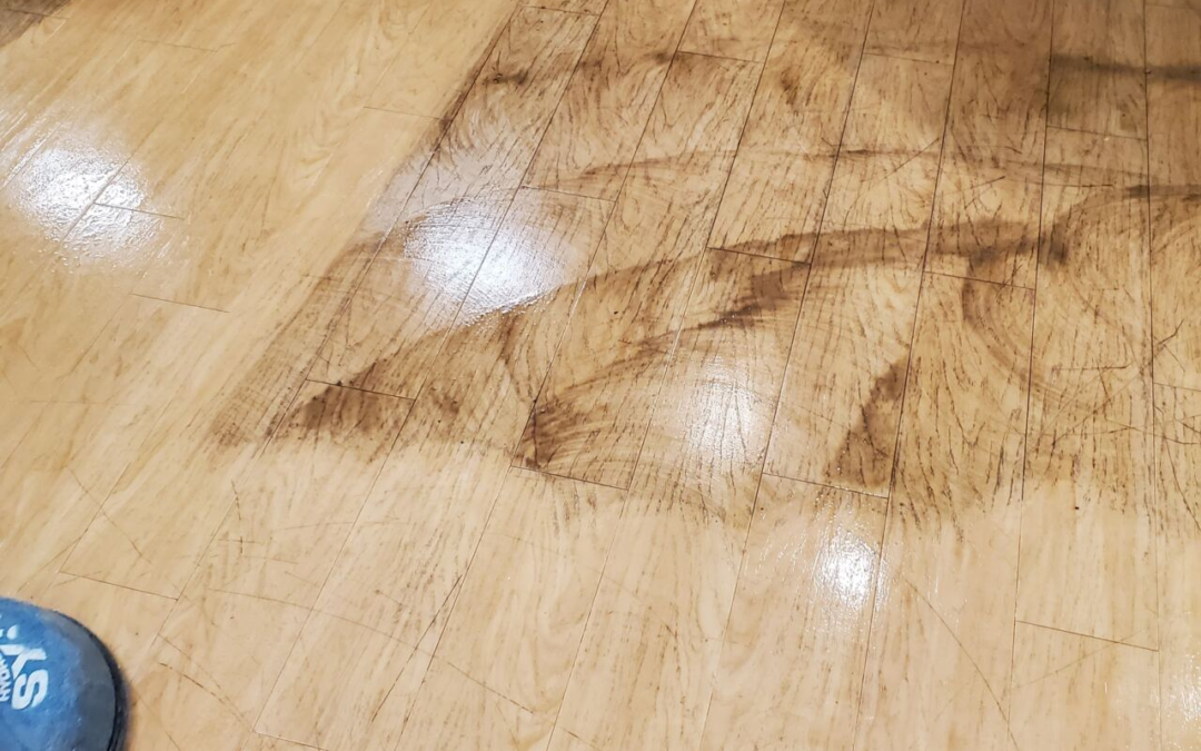 Restore Your Vinyl Floors Without Surface Damage in Palm Harbor