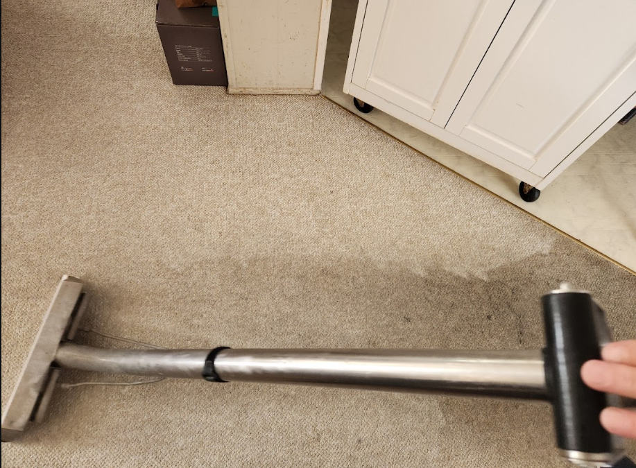 How Often Should You Really Clean Your Carpets? A Homeowner’s Guide