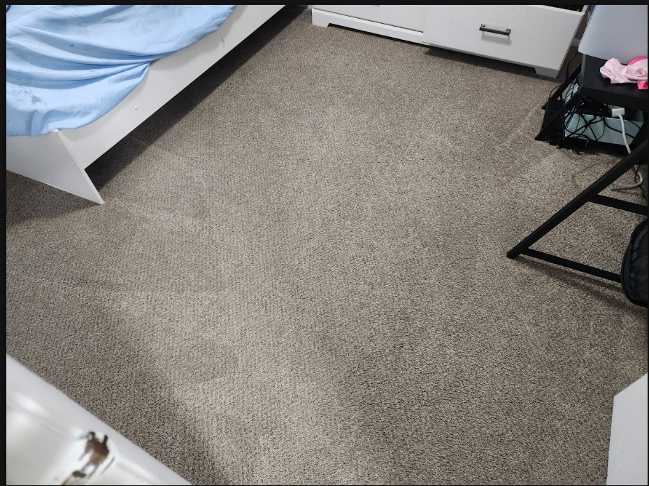 carpet after moisture extraction