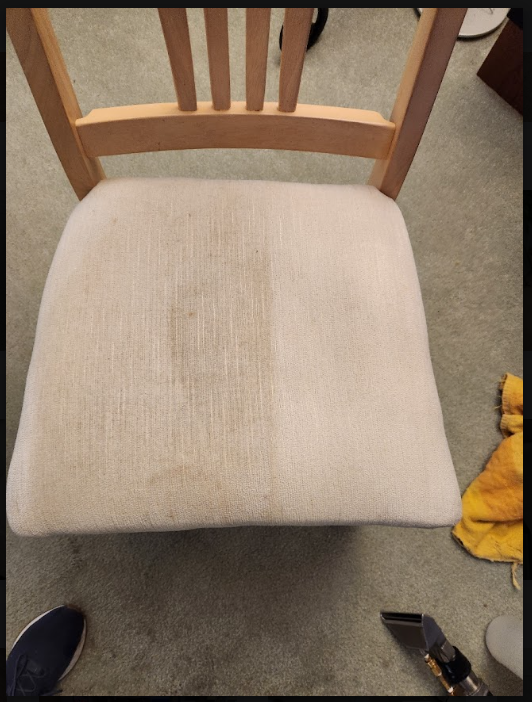 dining chair professional cleaning