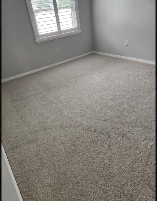 Why Pet Odors Keep Coming Back After DIY Carpet Cleaning
