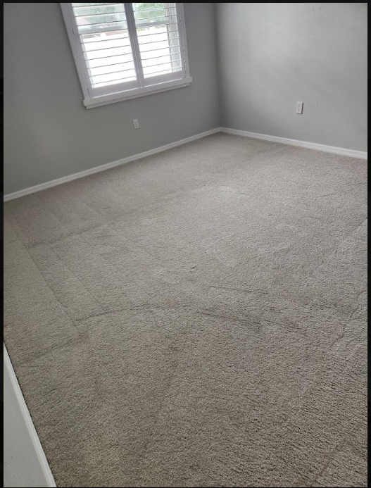 carpet odor treatment process