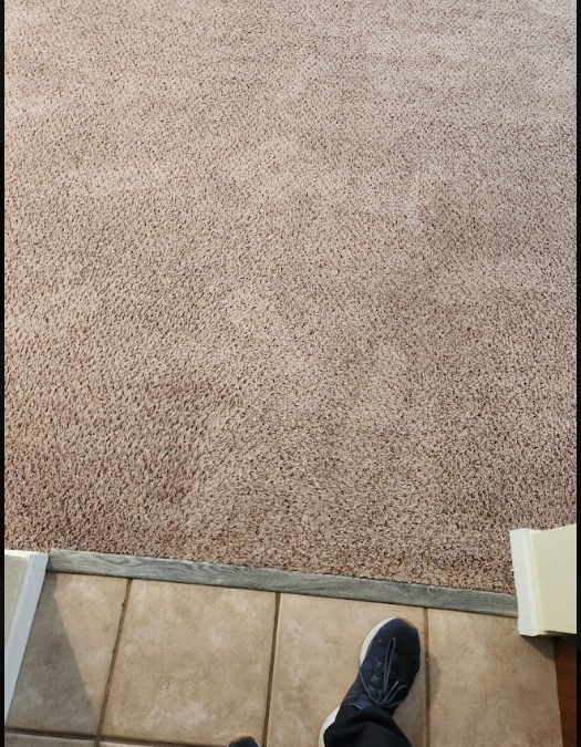 Is It Time to Replace Your Carpet, or Can Cleaning Save It?