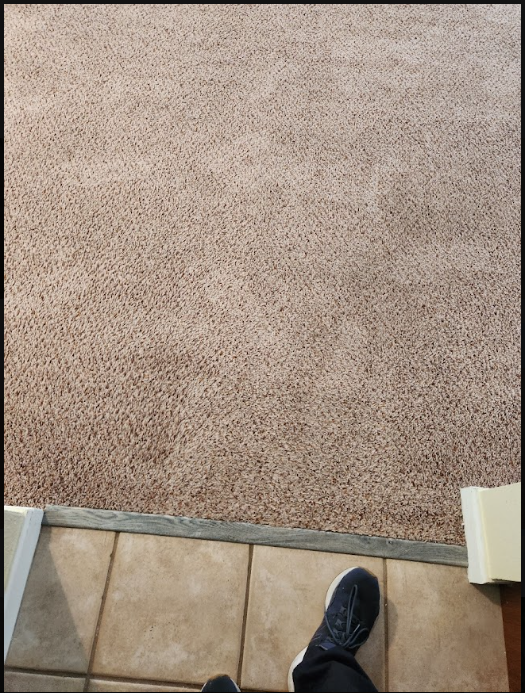 worn carpet before cleaning