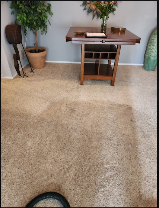 residential carpet extraction visit