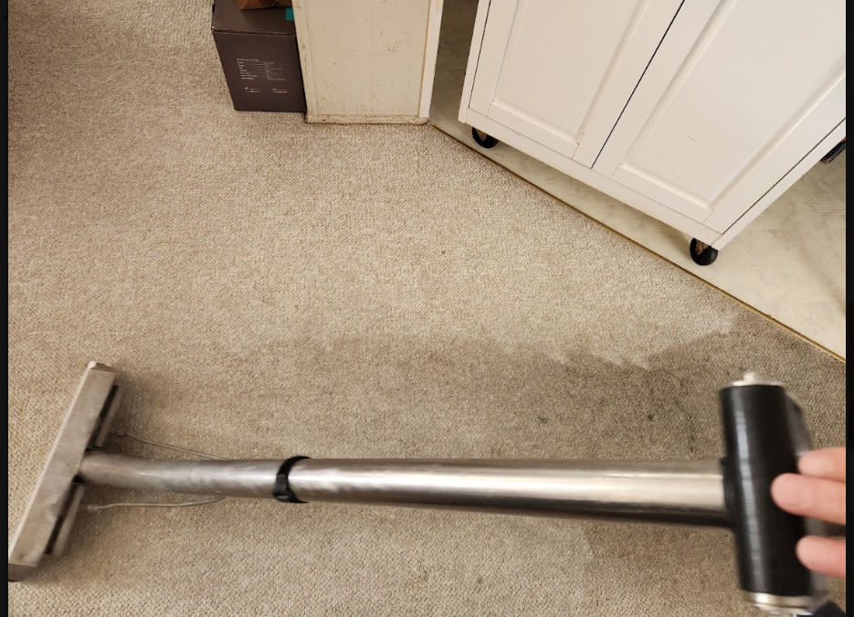 Same-Day Carpet Cleaning: What Is Realistic?