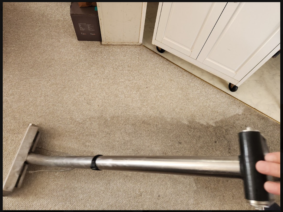 same day carpet service