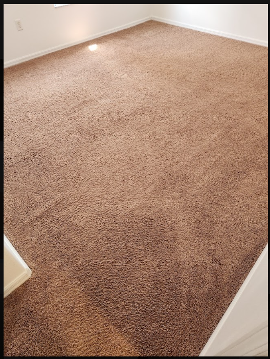 carpet after thorough extraction