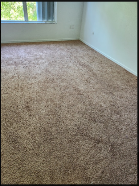 carpet before residue removal