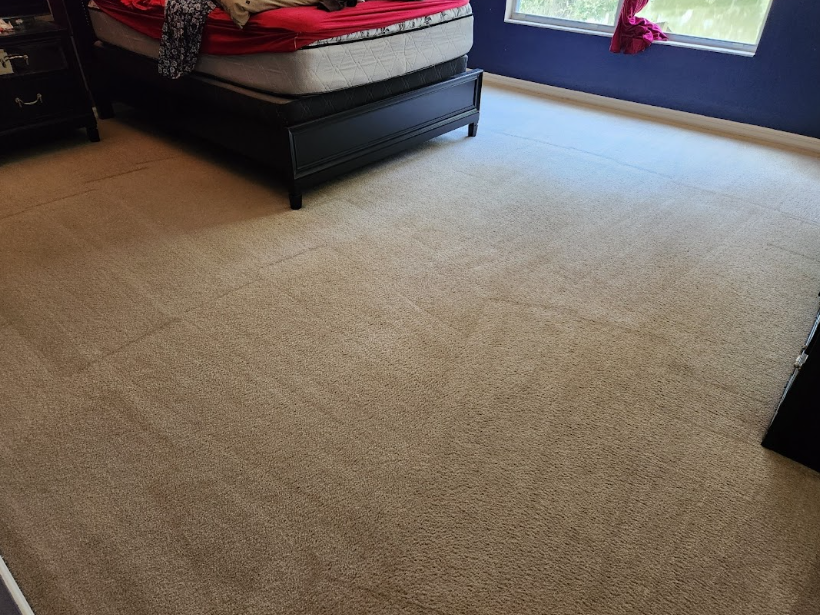 Carpet steam cleaning in Odessa