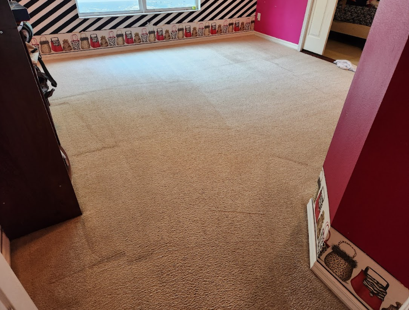 Ongoing carpet steam cleaning in Trinity, FL. 