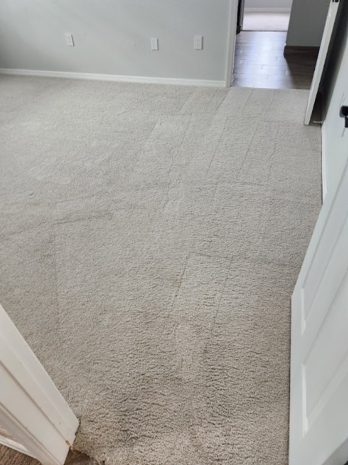 Ongoing carpet sanitizing services.