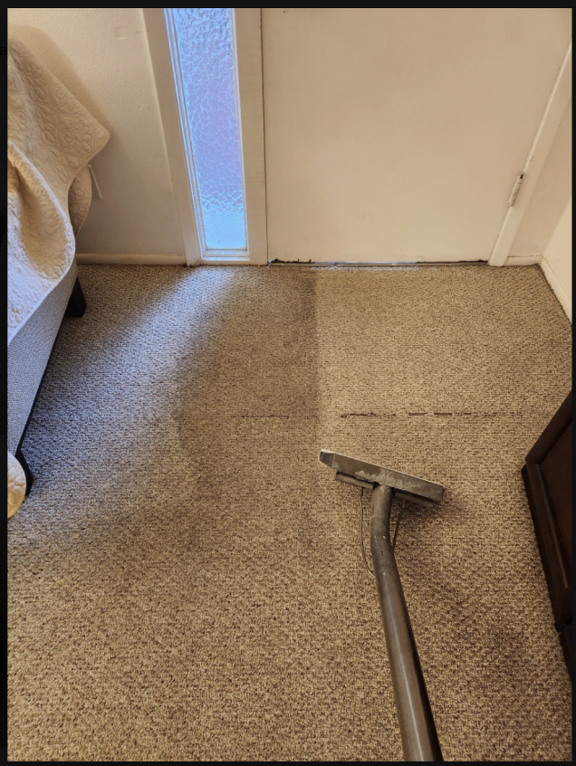 carpet extraction wand